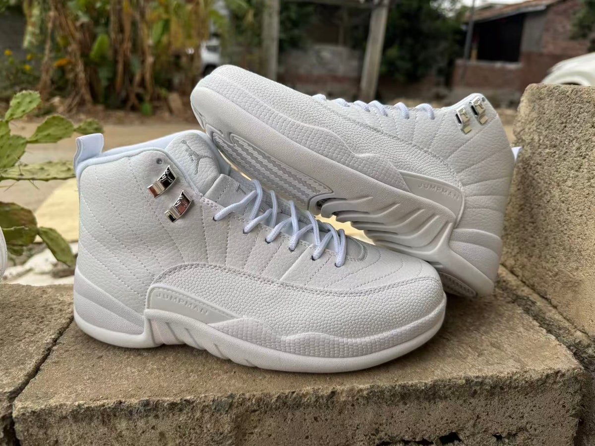 Air Jordan 12 Retro MENS Summit White White Metallic Silver