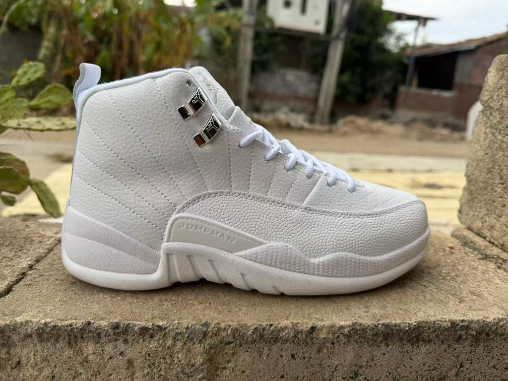 Air Jordan 12 Retro MENS Summit White White Metallic Silver
