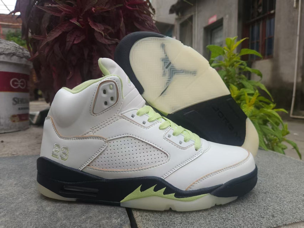 Air Jordan 5 Retro Pale Green