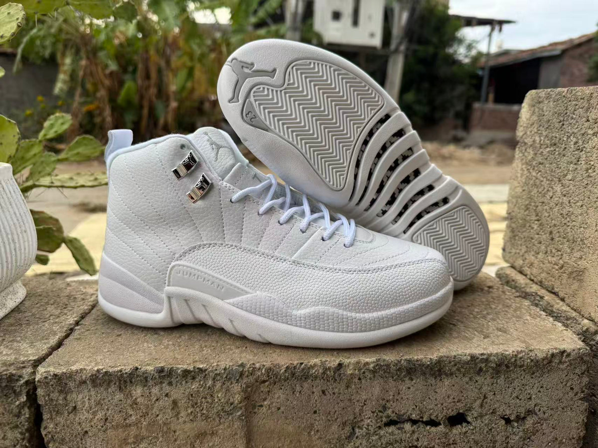 Air Jordan 12 Retro MENS Summit White White Metallic Silver